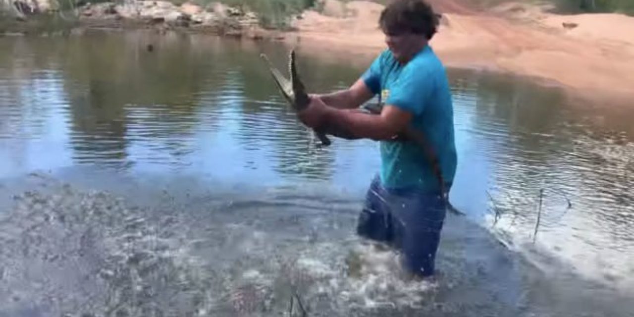 Man Snatches Croc From the Water With His Bare Hands