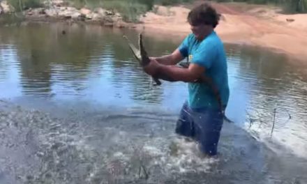 Man Snatches Croc From the Water With His Bare Hands