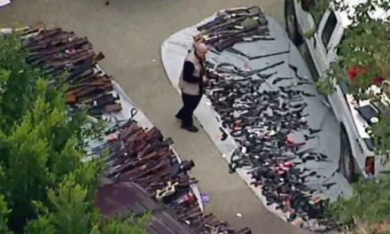 Massive Gun Collection Seized From California Home
