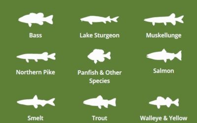 Michigan Fishing Tip: Fishing for the holiday weekend