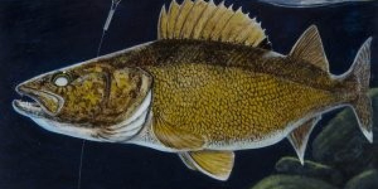 MINNESOTA – STAMP YOUR LICENSE FOR MORE WALLEYES