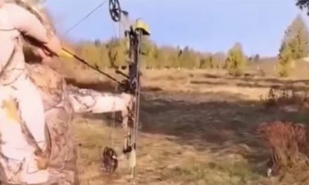 Near Miss: Girl Shoots Arrow at a Beer on the Ground, and It Ricochets Right Past Her Head