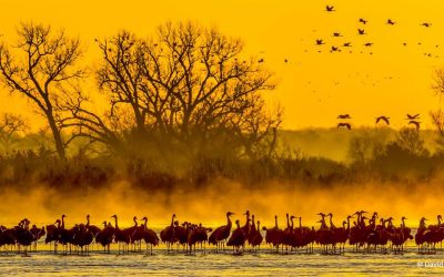 Photo Of The Day By David Rein