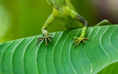 Photo Of The Day By Thomas Oliver