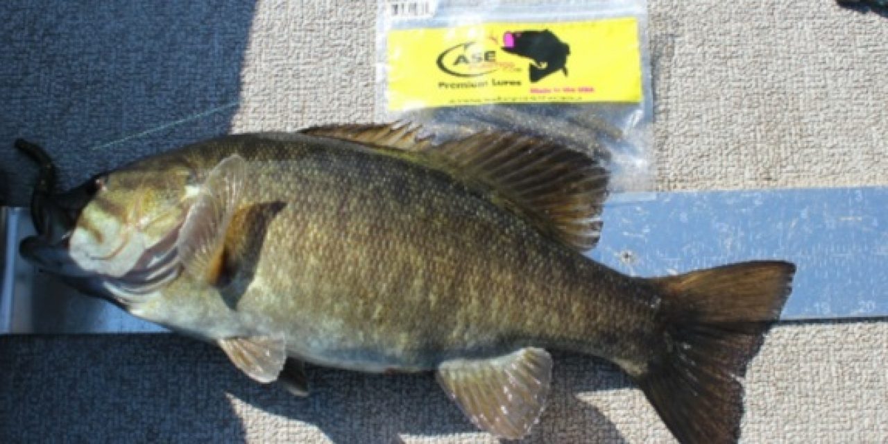 Pre-Spawn Smallmouth, By Mike Mladenik Guide Service