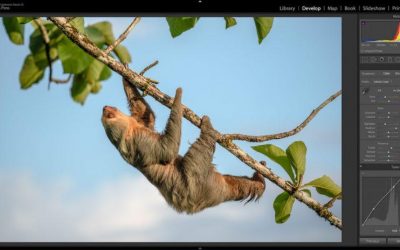 reCOMPOSE Podcast 054: Lightroom Keyboard Shortcuts And More
