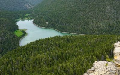 RMEF Access Project a Win for Hunters, Hikers and Wildlife