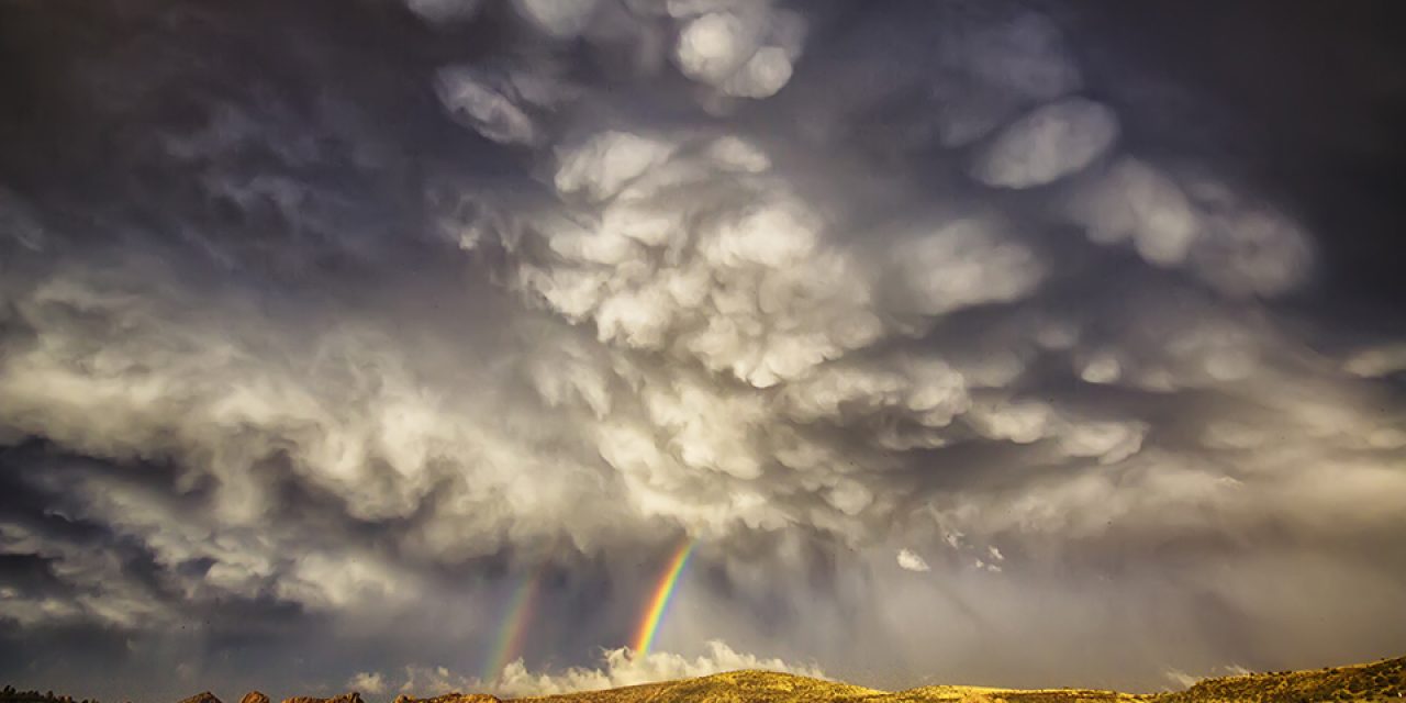 Spring Showers Assignment Winner Bob Larson