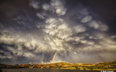 Spring Showers Assignment Winner Bob Larson