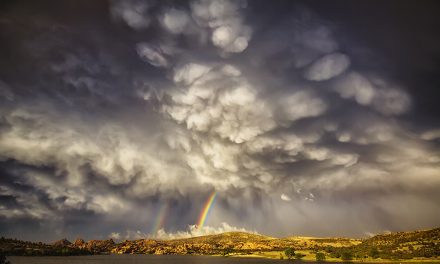 Spring Showers Assignment Winner Bob Larson