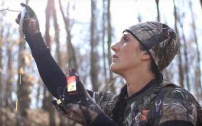The 10 Best Deer Attractants Worth Spending Your Money On