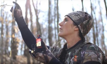 The 10 Best Deer Attractants Worth Spending Your Money On