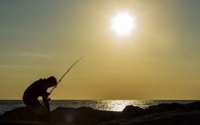The Great Big Guide to Memorial Day Fishing Sales, Deals, and Discounts
