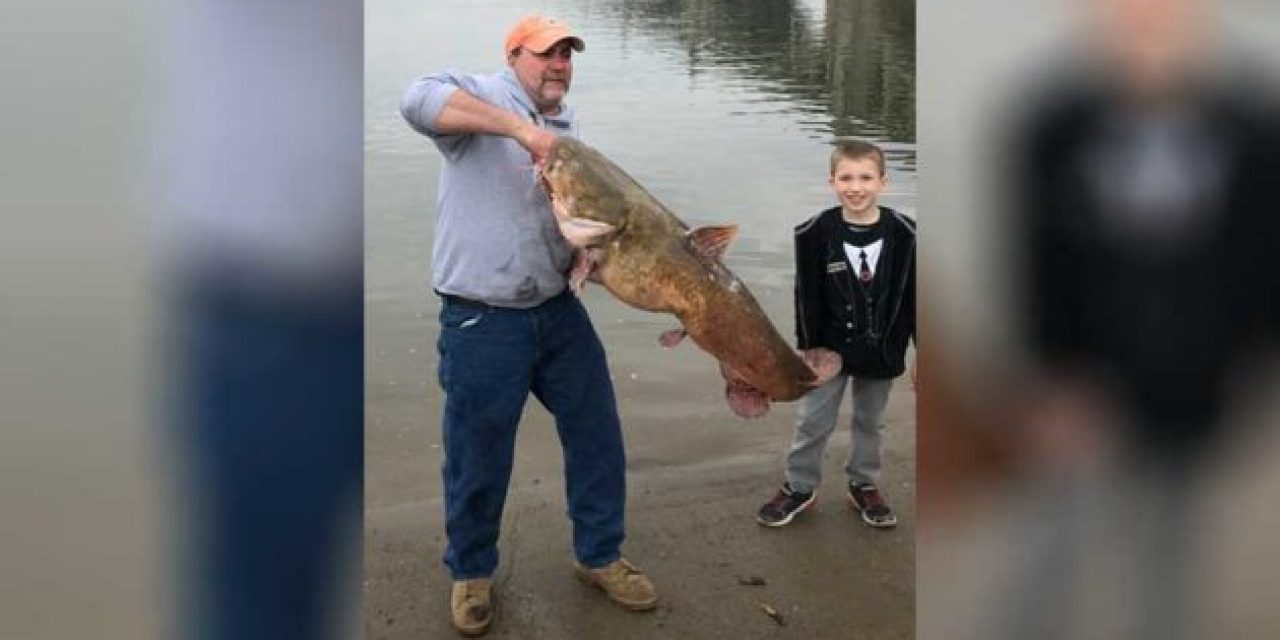 The New Pennsylvania Record Flathead Catfish Was Caught and Released in the Susquehanna