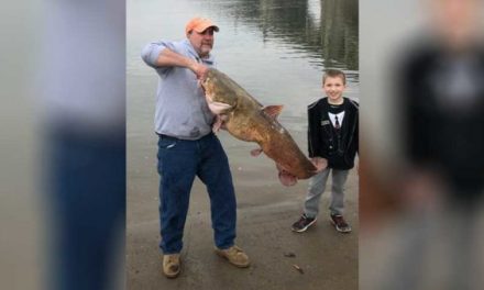 The New Pennsylvania Record Flathead Catfish Was Caught and Released in the Susquehanna