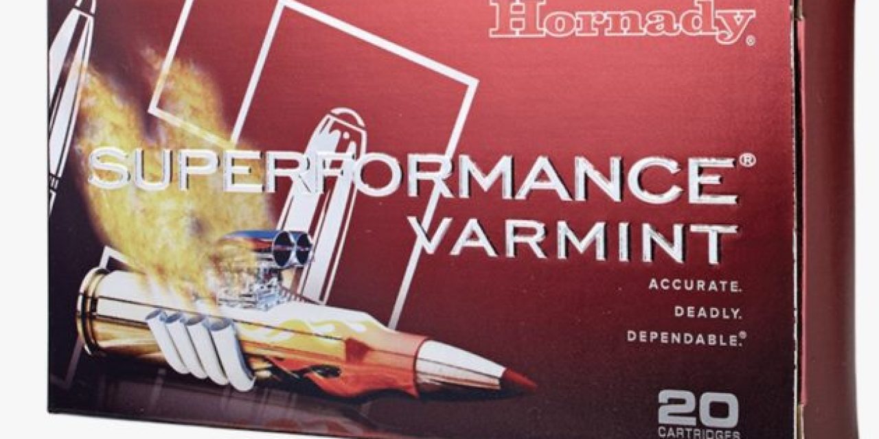 The Scoop With Hornady Superformance Varmint Ammo