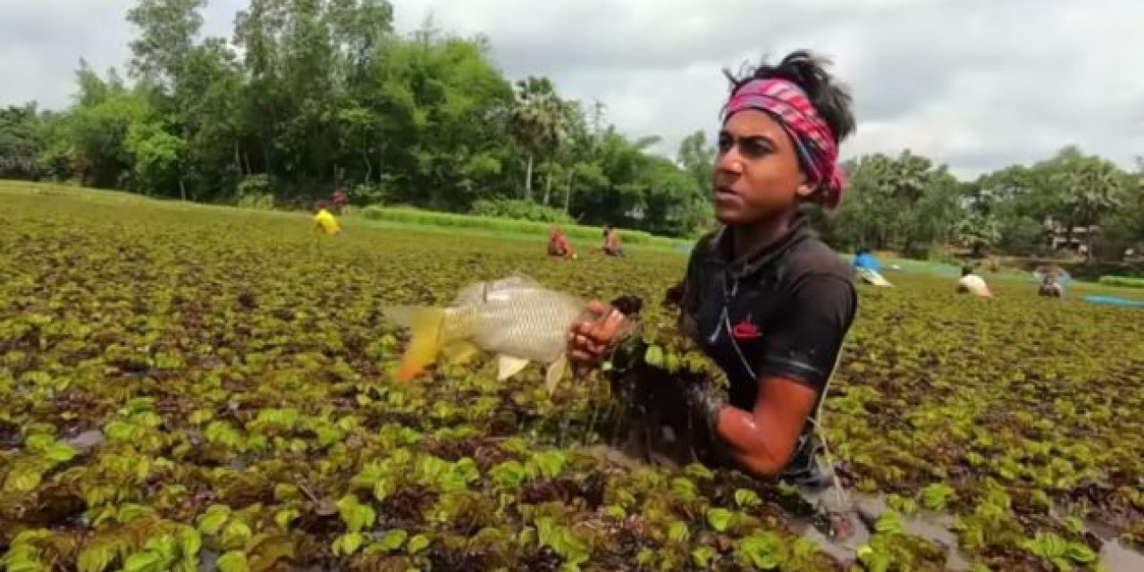 These Guys Have Mastered the Art of Hand Fishing