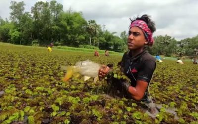 These Guys Have Mastered the Art of Hand Fishing