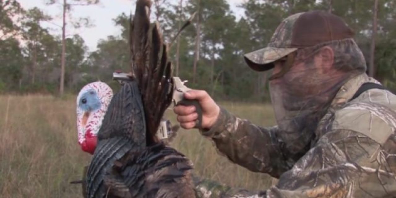 This is What it’s Like to Decapitate a Gobbler with The Judge Revolver