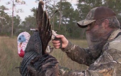 This is What it’s Like to Decapitate a Gobbler with The Judge Revolver