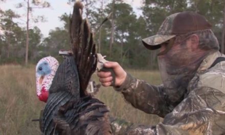 This is What it’s Like to Decapitate a Gobbler with The Judge Revolver