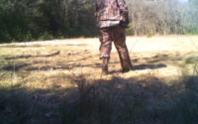 To Catch a Trespasser: What Would You Do?