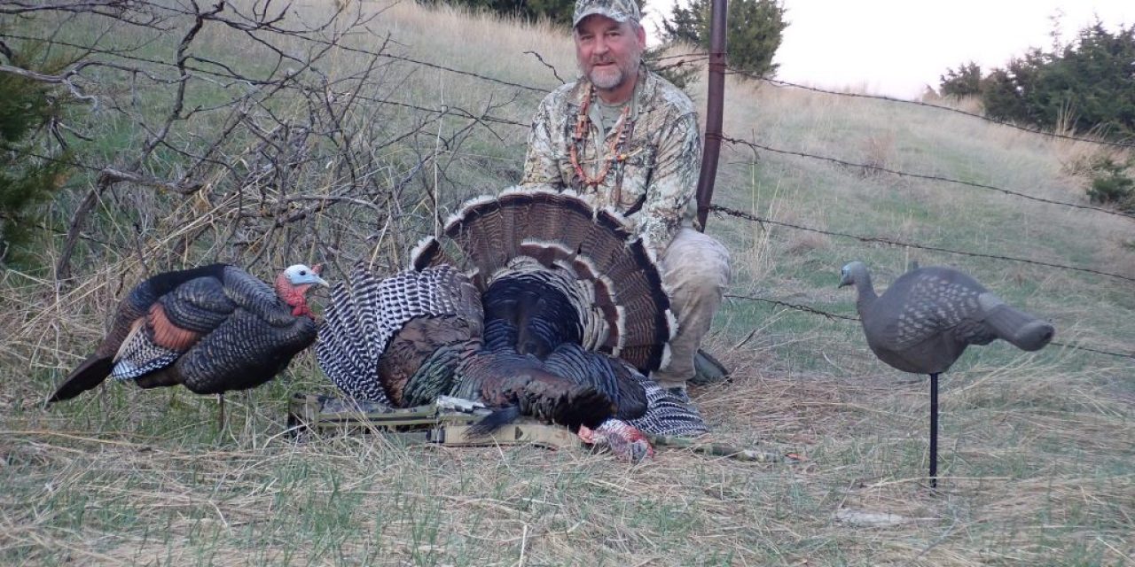 Turkey Down!