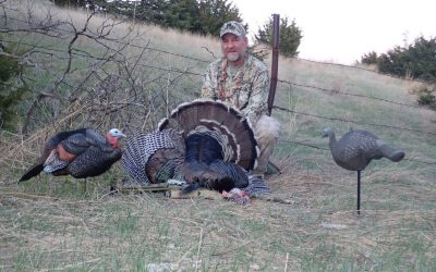 Turkey Down!