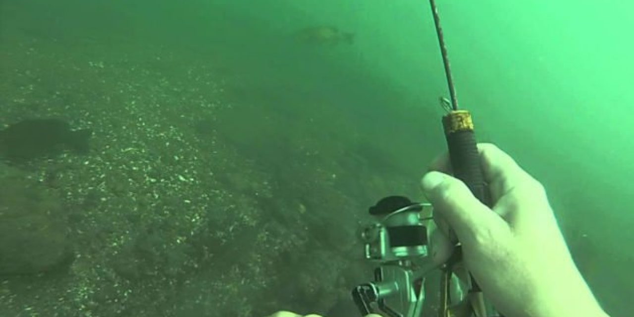 Underwater Fishing Lets You Go Where the Bass Are