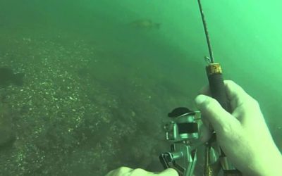 Underwater Fishing Lets You Go Where the Bass Are