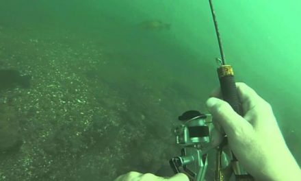 Underwater Fishing Lets You Go Where the Bass Are