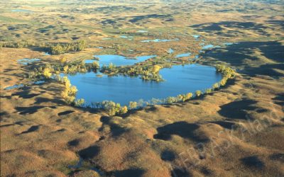 Updates, Water Keeps A-Coming