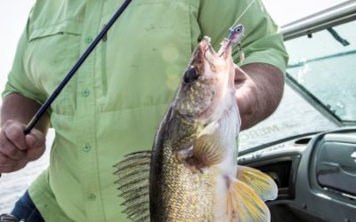 What Jig to Fish & When