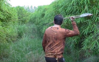 What?! This Guy Hunts a Hog With an Atlatl