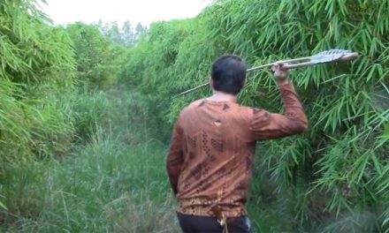 What?! This Guy Hunts a Hog With an Atlatl