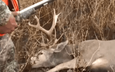 When a Trophy Buck Gets Even With a Hunter