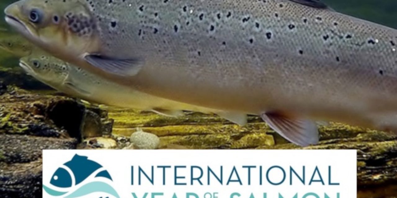 “Year of the Salmon” – NOAA