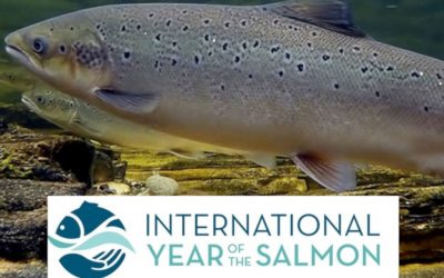 “Year of the Salmon” – NOAA