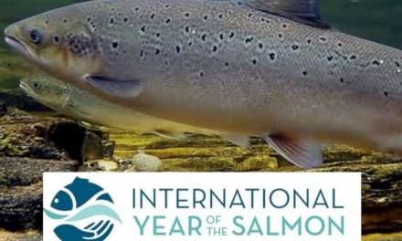 “Year of the Salmon” – NOAA