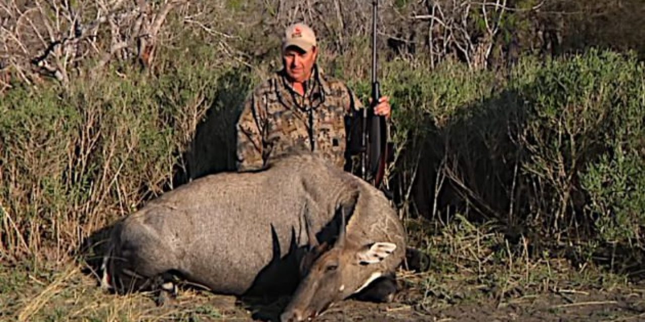 Yes, You Can Actually Plan Some Pretty Cool Summer Hunting Trips