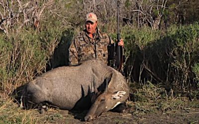 Yes, You Can Actually Plan Some Pretty Cool Summer Hunting Trips