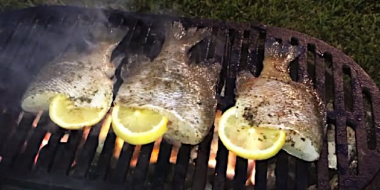 15 Inspiring Fish Recipes Beyond Just Frying It Up