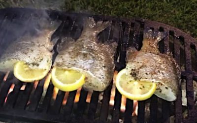 15 Inspiring Fish Recipes Beyond Just Frying It Up