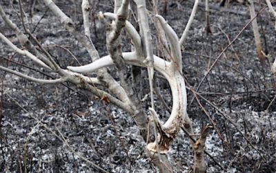 6 Shed Hunting YouTube Channels You Should Be Watching