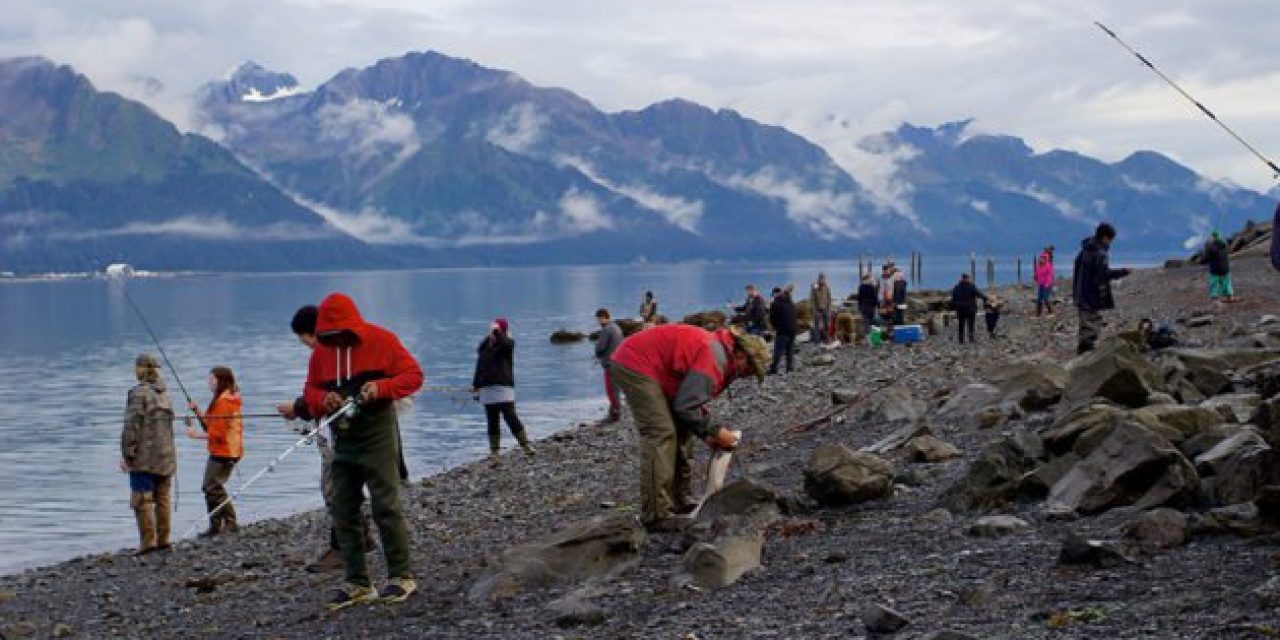 Alaska Sockeye Limit Raised in Resurrection Bay, So Now Would Be the Time to Go