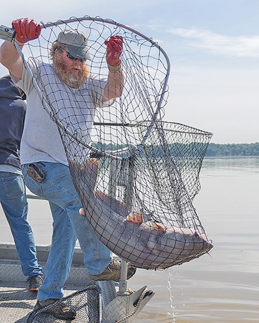 Biologists fear catfish spread after last year’s record deluge