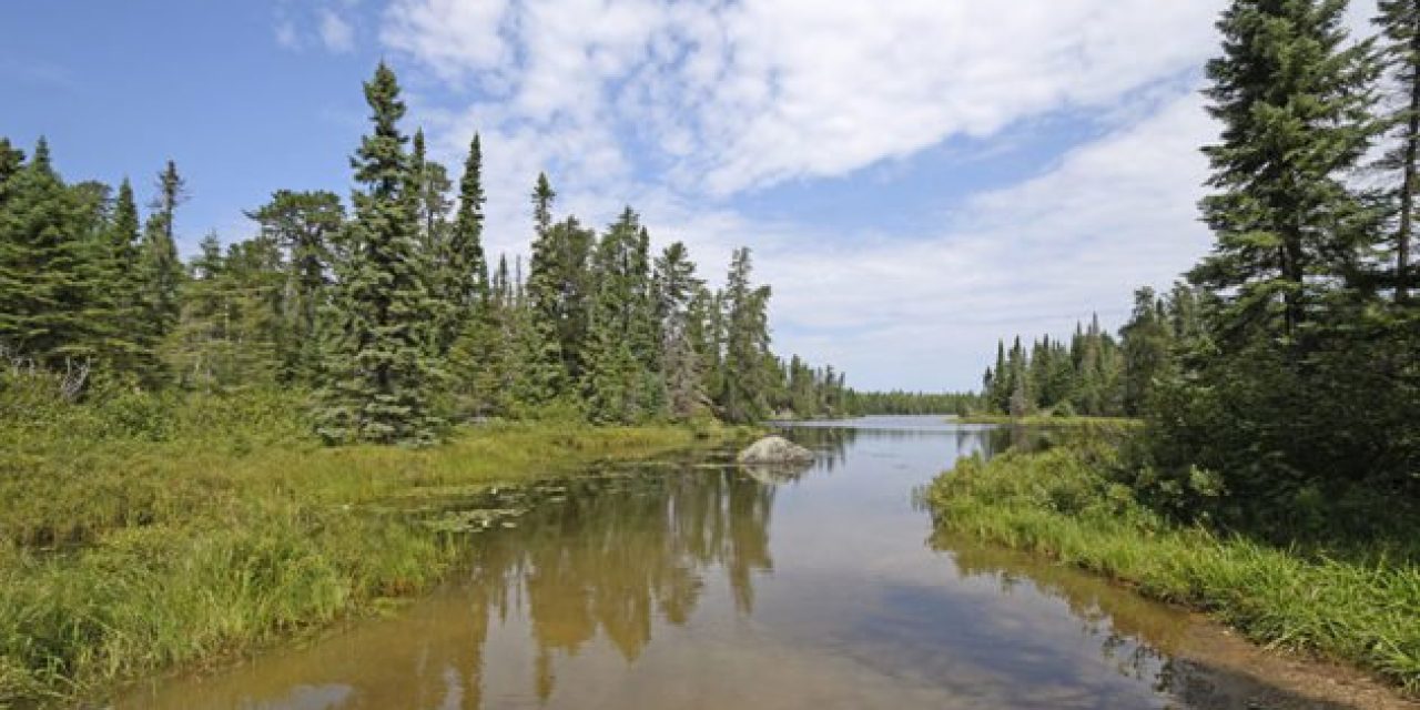 Boundary Waters Canoe Area: Everything You Wanted to Know