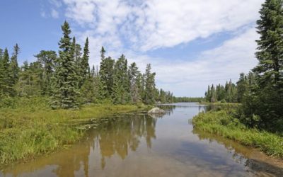 Boundary Waters Canoe Area: Everything You Wanted to Know