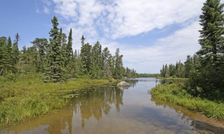 Boundary Waters Canoe Area: Everything You Wanted to Know
