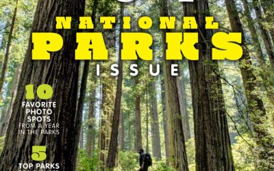 Cover Shot, July 2019